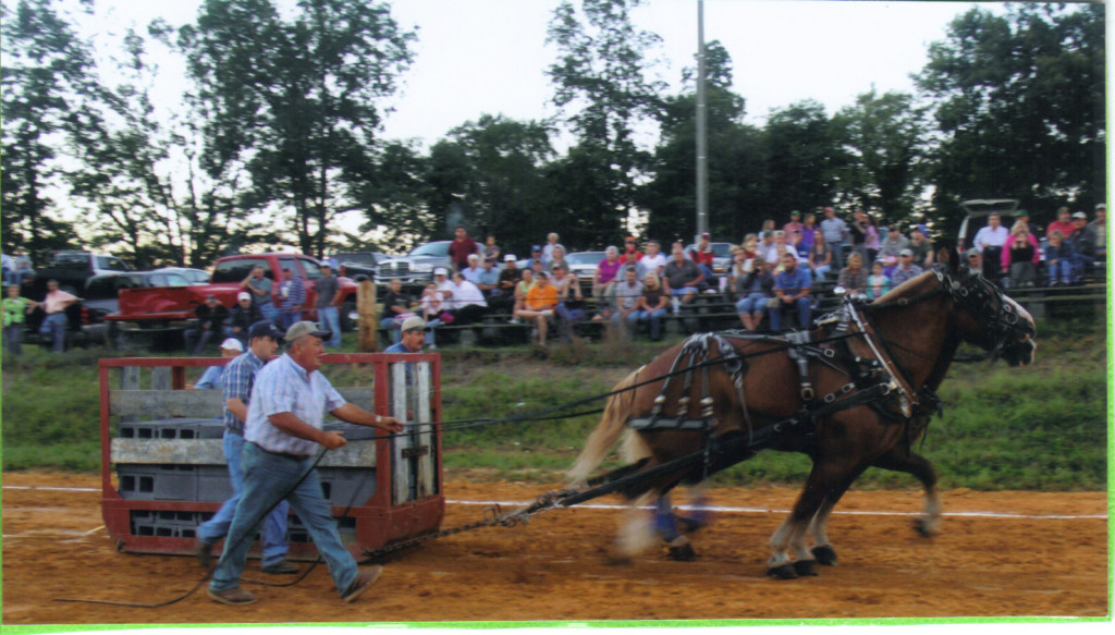 Horse Pull County Fair Grounds Washington County Virginia