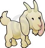 goat